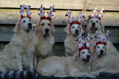 KerstDSC_9941a