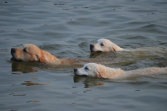 ttt